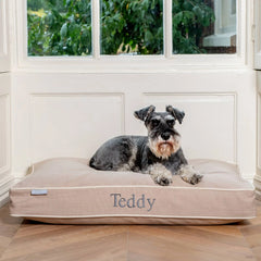 Dog Cushion in Savanna Oatmeal