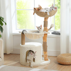 PAWZ Road 59" Modern Cat Tree, Natural Wood Cat Tower for Large Cats White