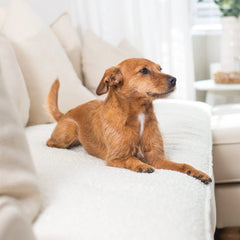 Couch Topper in Boucl茅