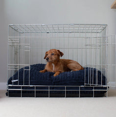Dog Cushion in Navy Essentials – M, Without Personalization pour la maison et le jardin