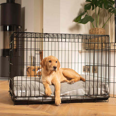 Dog Cushion in Balmoral Dove Grey Tweed