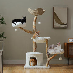 PAWZ Road 59" Modern Cat Tree, Natural Wood Cat Tower for Large Cats White