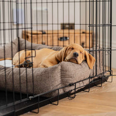 Cozy & Calming Puppy Cage Bed In Inchmurrin Umber Variant 2