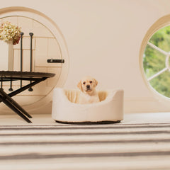 Grow With Me Puppy Bed in Cream