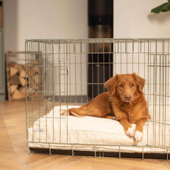 Dog Cushion in Ivory Boucl茅