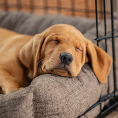 Cozy & Calming Puppy Cage Bed In Inchmurrin Umber Variant 2
