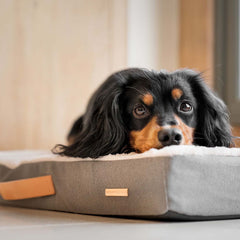 Orthopaedic Mattress in Slate