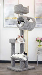 New Cat Condos 140003- Solid Wood Cat Climbing Tower Cat Tree, Beige