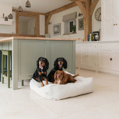 Box Bed For Dogs in Boucl茅