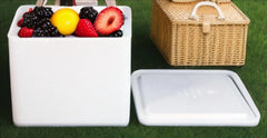 Foam Cooler (Outside Dimensions: 12 x 11 x 9) with Shipping Box - 3 Pack, Protective, Thermal, Insulated, Biodegradable, Recyclable, Shipping/Storage