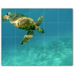 Picture-Tiles.com: Turtle Ceramic Tile Wall Mural WAL501056-54L. 40"W x 32"H using (20) 8" x 8" Ceramic Tiles-Satin Finish