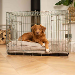 Dog Cushion in Mink Boucl茅