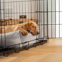 Cozy & Calming Puppy Cage Bed In Inchmurrin Ground