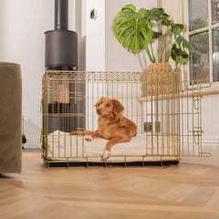 Dog Cushion in Savanna Bone