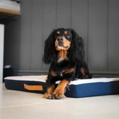 Orthopaedic Mattress in Denim Variant 2