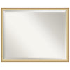 Amanti Art Florence Silver Beveled Wall Mirror 31.75 x 41.75 in.