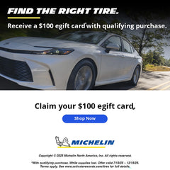 Michelin X-Ice Snow Winter 245/70R17 110T Tire