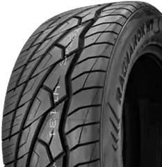 RAGNAROK GTS 295/35R24 XL 110V