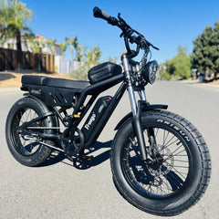 Shotgun Lite F0 E bike