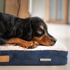 Orthopaedic Mattress in Denim